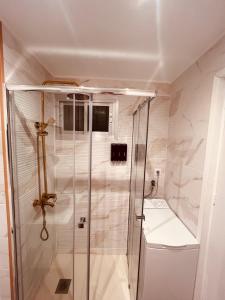 une douche avec une porte vitrée dans une salle de bain dans l'établissement Hércules Nuevo y Moderno Estudio, à Benalmádena