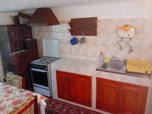 Kuchyň nebo kuchyňský kout v ubytování Casa Cristian