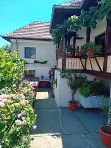 Zahrada ubytování Casa Cristian