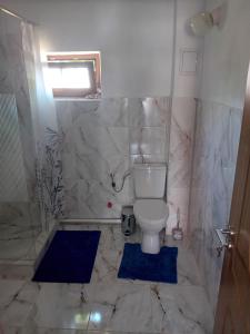 Koupelna v ubytování Casa Cristian + 21 fotografií