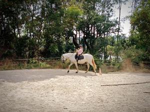 Dyr i feriehuset eller i nærheden + 7 billeder