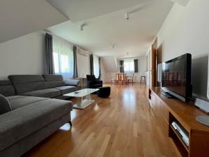 TV a/nebo společenská místnost v ubytování Apartment Šentjur center