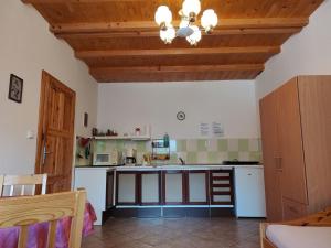 Kuchyň nebo kuchyňský kout v ubytování Apartmány Brevant