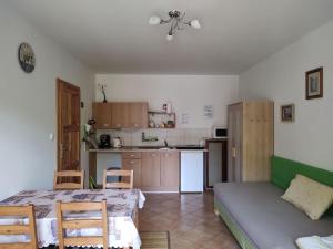 Kuchyň nebo kuchyňský kout v ubytování Apartmány Brevant