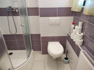 Koupelna v ubytování Apartmány Brevant