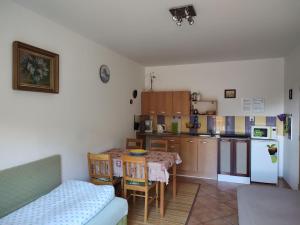 Kuchyň nebo kuchyňský kout v ubytování Apartmány Brevant