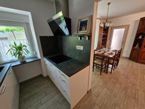 Kuchyň nebo kuchyňský kout v ubytování Apartma Ježevi