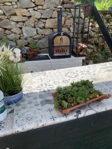 Vonkajšia záhrada v ubytovaní Maison Les Berrys