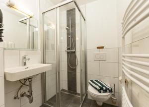 a bathroom with a shower and a sink and a toilet at Haus König in Mauterndorf +37 photos