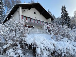 Pölstaler Berghütte v zimě