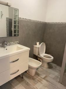 a bathroom with a toilet and a sink at Maison Sainte Catherine in Les Salles-sur-Verdon +15 photos