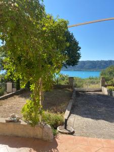 a tree in a yard with a view of a lake at Maison Sainte Catherine in Les Salles-sur-Verdon