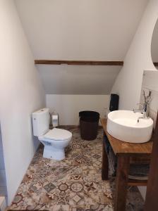 a bathroom with a toilet and a sink at Vilnīši in Ulmale