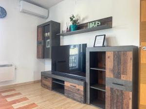 TV a/nebo společenská místnost v ubytování Apartments Zupan