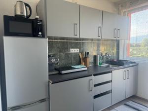 Kuchyň nebo kuchyňský kout v ubytování Apartments Zupan