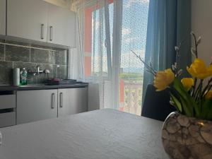 Kuchyň nebo kuchyňský kout v ubytování Apartments Zupan