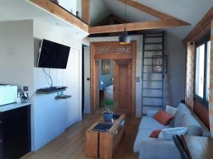 Μια τηλεόραση ή/και κέντρο ψυχαγωγίας στο Bel appartement T2 atypique +11 φωτογραφίες