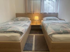 Postel nebo postele na pokoji v ubytování Apartments Zupan