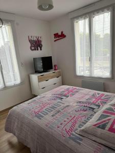 a bedroom with a bed and a tv and windows at La petite maison de la gare in Nemours +4 photos