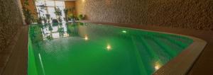 a swimming pool with green water in a room at Mūsa Kemping in Bauska