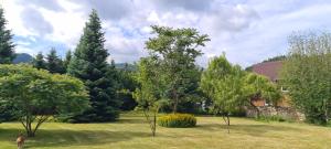 a woman standing in a yard with trees and a house at Willa Matylda Karpacz in Ściegny
