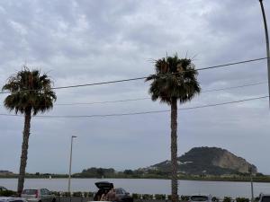 two palm trees in front of a body of water at Miralago in Bacoli