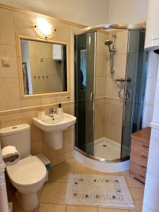 a bathroom with a shower and a toilet and a sink at Dom nad morzem w Pleśnej in Pleśna +13 photos