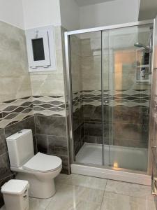 a bathroom with a toilet and a shower at Royal Life Poseidon Residences Long Beach in Iskele