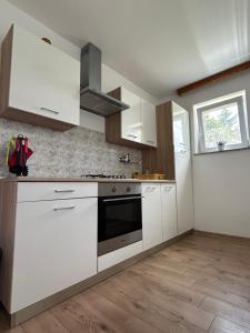 Kuchyň nebo kuchyňský kout v ubytování Apartments and Rooms Krizmanic
