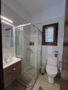 a bathroom with a shower and a toilet and a sink at Limnionas Apartments in Xorychti