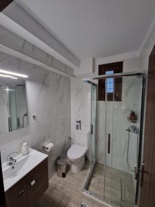 a bathroom with a shower and a toilet and a sink at Limnionas Apartments in Xorychti +11 photos