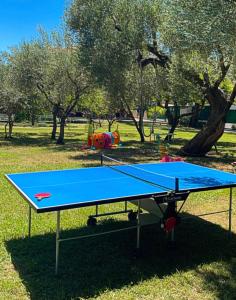 a blue ping pong table in a park at Fili d'Erba Cilento in Villammare