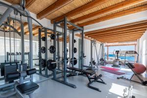 Фітнес-центр і / або тренажери в Onar Suites & Villas