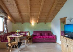 TV a/nebo společenská místnost v ubytování L'GROF - AL CONTE