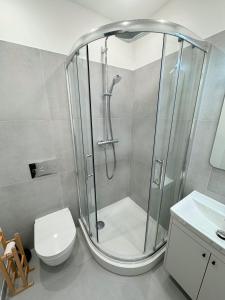 a bathroom with a shower and a toilet at Dainas Apartment in Riga +64 photos