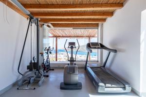 Фітнес-центр і / або тренажери в Onar Suites & Villas
