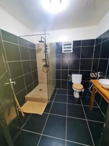 a bathroom with a shower and a toilet and a sink at Ô'JASMIN in Mamoudzou