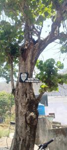 Kuvagallerian kuva majoituspaikasta BlaBla House Rishikesh, joka sijaitsee kohteessa Rishīkesh