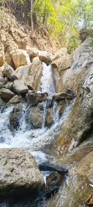 Kuvagallerian kuva majoituspaikasta BlaBla House Rishikesh, joka sijaitsee kohteessa Rishīkesh
