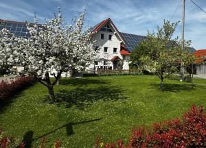 Zahrada ubytování Gästezimmer Kirchdorf