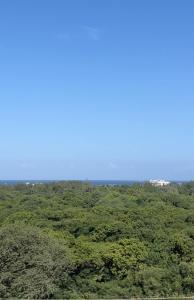 a clear blue sky over a lush green field at Haller Park Apartments Pacific Bamburi in Mombasa