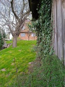 Fotografie z fotogalerie ubytování Dom na wsi z dużym ogrodem v destinaci Tapin