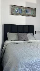 a bed in a bedroom with a picture above it at Casa de huéspedes Maturin 3 hab in Maturín
