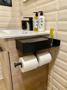 a bathroom with a shelf with toilet paper rolls at Apartamento en Casco Histórico in Pontevedra