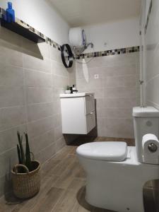 a bathroom with a white toilet and a plant at Roque in Las Playitas +14 photos