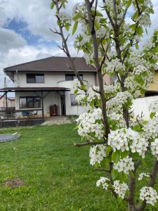 Κήπος έξω από το Sit And Dream Home with Terrace and Yard