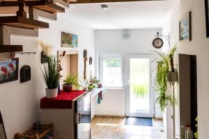 a kitchen with potted plants on the counters at Magdalena Apartmanház in Keszthely