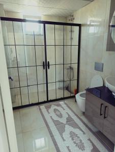 a bathroom with a shower and a toilet and a sink at Kuzine Garden in Pamukkale