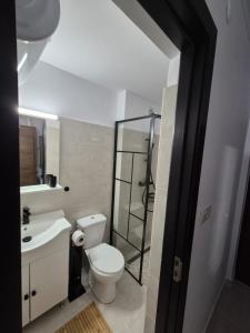 a bathroom with a toilet and a sink and a mirror at Studio Saturn in Saturn +8 photos