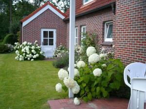 a house with a bunch of white flowers in the yard at Watthuus Kiebitzhörn Apartment in Horumersiel